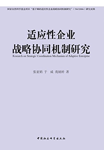 适应性企业战略协同机制研究 (国家自然科学基金项目)
