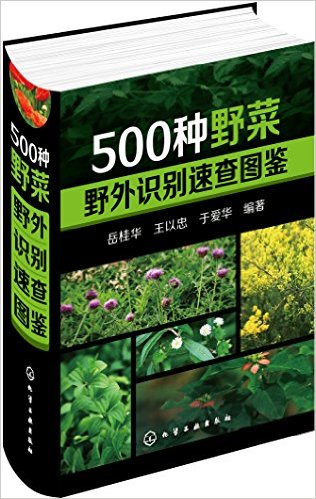 500ҰҰʶٲͼ