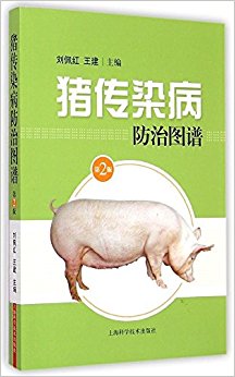 Ⱦͼףڶ棩