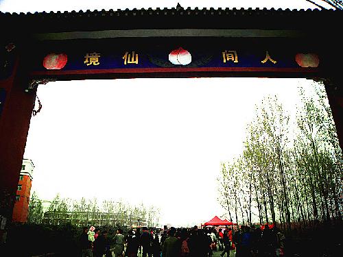 在那桃花盛开的地方(文苑征文“走进春天深处”)作文