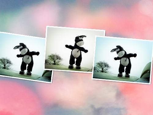 在那桃花盛开的地方(文苑征文“走进春天深处”)作文