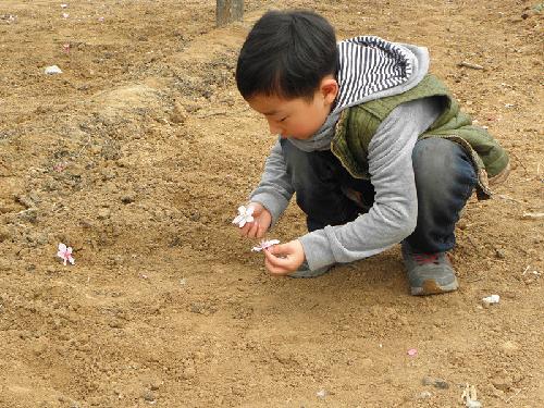 在那桃花盛开的地方(文苑征文“走进春天深处”)作文