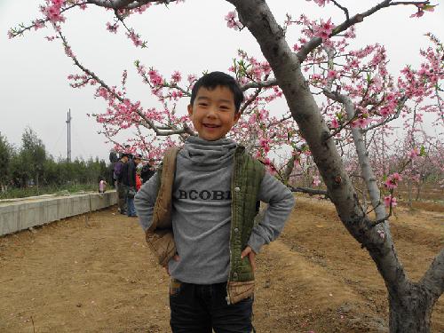 在那桃花盛开的地方(文苑征文“走进春天深处”)作文