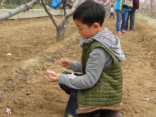 在那桃花盛开的地方(文苑征文“走进春天深处”)作文