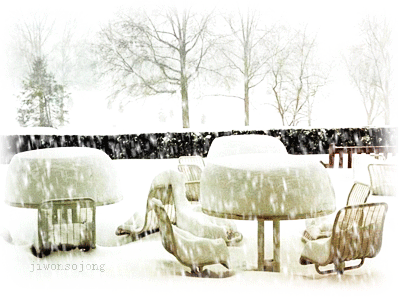 三月,我为雪花举行葬礼(散文诗)作文