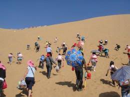 响沙湾之旅作文