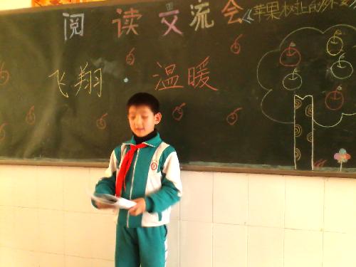 飞翔·温暖·感动作文