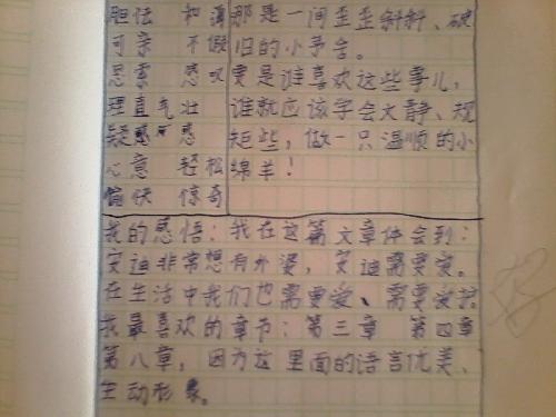 飞翔·温暖·感动作文