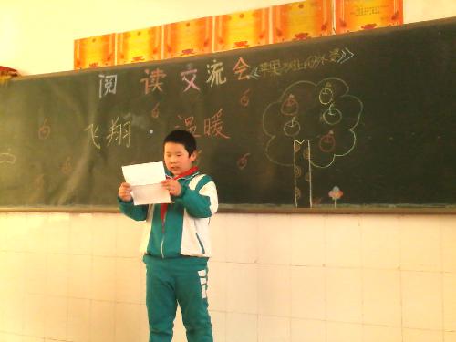 飞翔·温暖·感动作文