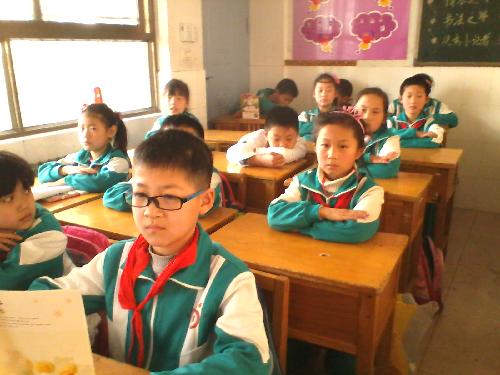 飞翔·温暖·感动作文