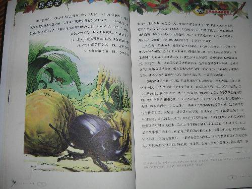 ѧĶгš