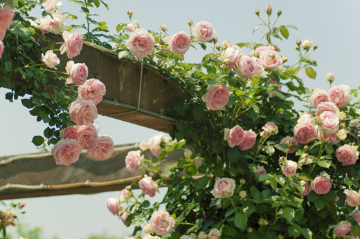 如何给宝宝起一个搭配美观响亮寓意美好的名字?