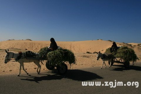 梦见自己陷入困境是什么意思