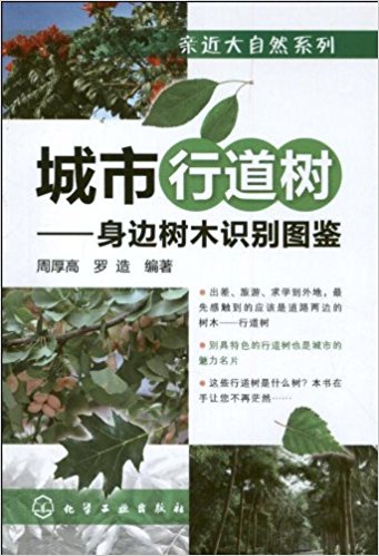 城市行道树:身边树木识别图鉴