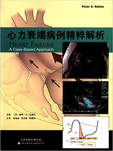 ����˥�߲����������