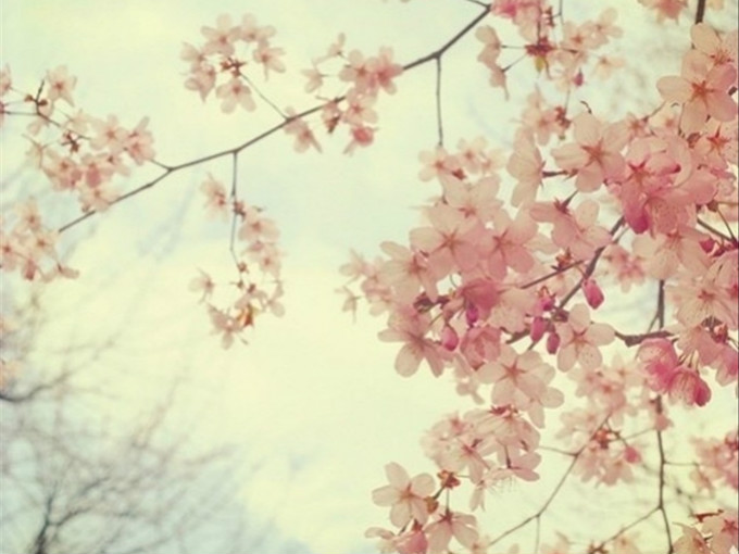 “陌上花开”暑期活动——走四方作文