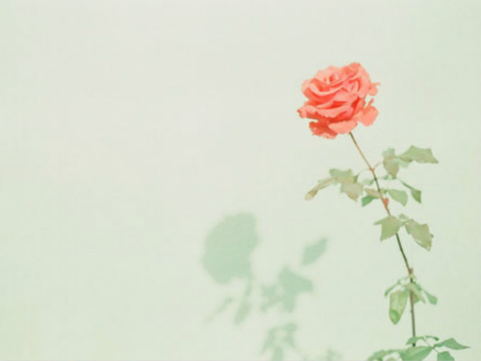 “陌上花开”暑期活动——走四方作文