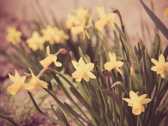 “陌上花开”暑期活动——走四方作文