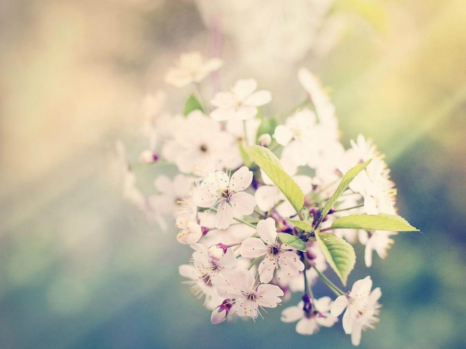 “陌上花开”暑期活动——走四方作文