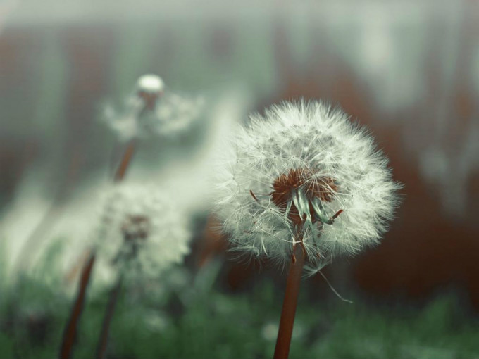 “陌上花开”暑期活动——走四方作文