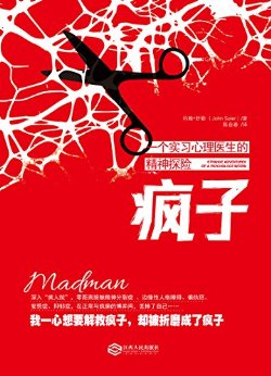 疯子:一个实习心理医生的精神探险 (精神分析心理小说)