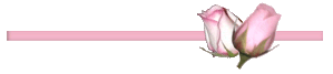 Ʒζ