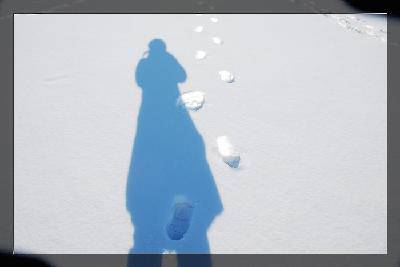 ŵ Ӿ