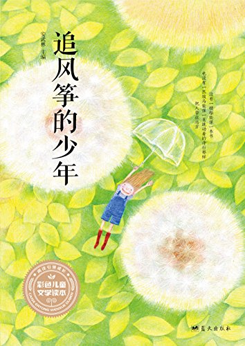 追风筝的少年 (彩色儿童文学读本)