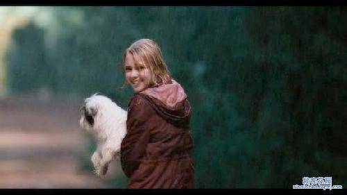 紫心放映厅:仙境之桥作文