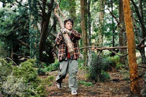 紫心放映厅:仙境之桥作文