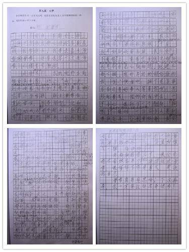 难忘的滑雪作文