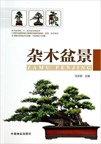 杂木盆景
