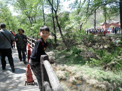 给孩子锻炼的机会作文