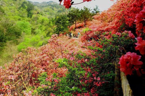 给孩子锻炼的机会作文