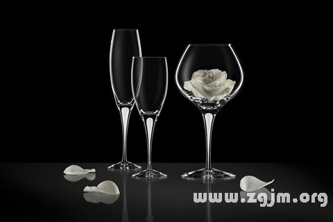 �μ��߽ű���ʲô��˼