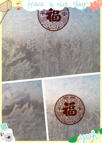 窗户上的冰凌花作文