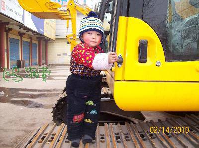 春日春起色,虎年虎生威作文