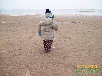 春日春起色,虎年虎生威作文
