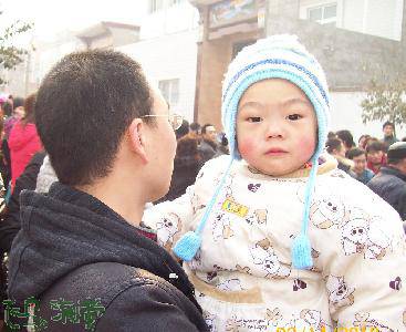 春日春起色,虎年虎生威作文