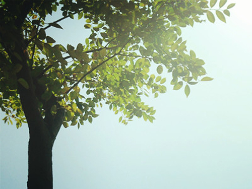 姓名知识学之科学起名取名