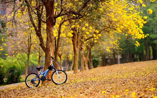 姓名知识学之科学起名取名