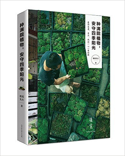 种满院植物,安守四季阳光