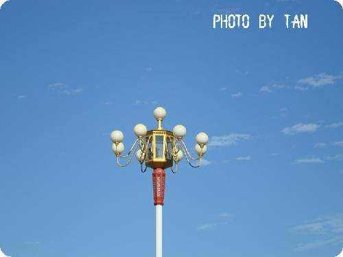 我看到了你的努力作文