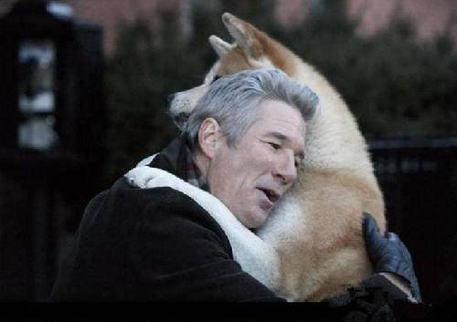 忠、爱、等待——《忠狗八公的故事》观后感作文