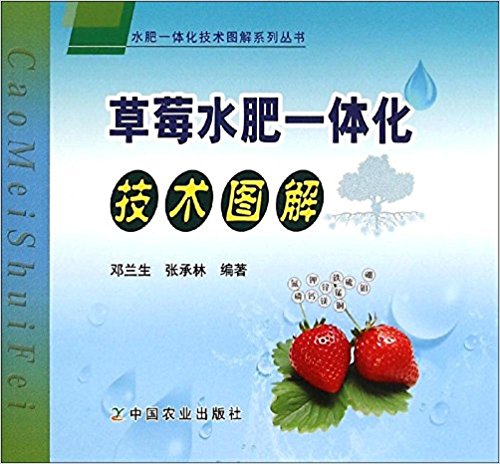 草莓水肥一体化技术图解