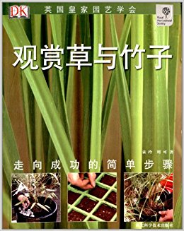 观赏草与竹子