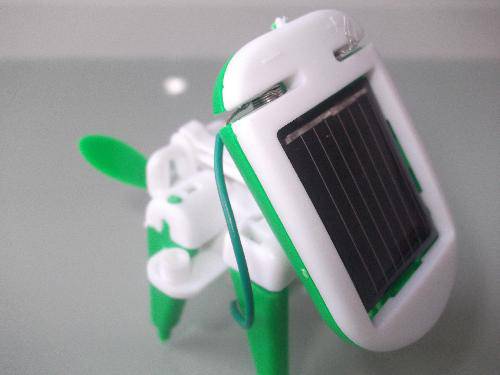 科学拓展夏令营之二作文