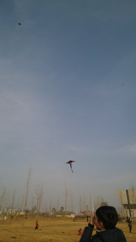 三月风筝飞作文