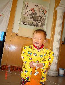 写给我最心爱的宝贝作文