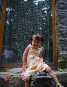 写给我最心爱的宝贝作文